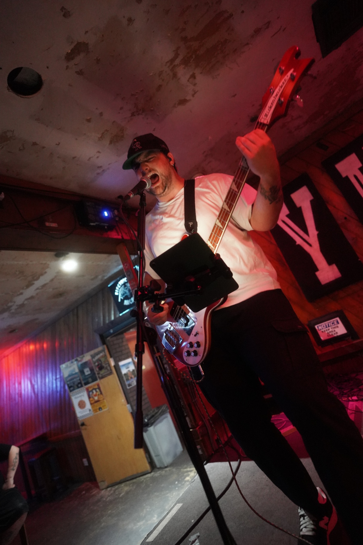 Bassist screaming into the mic under red stage light